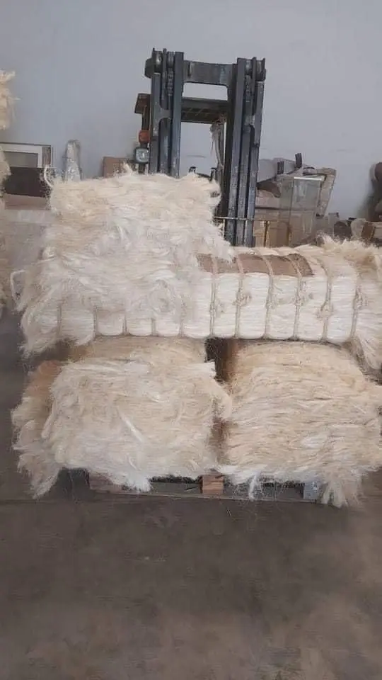 Sisal Fiber Raw Material and Sisal in Bulk for Export Fibre with special Feature of Sun Dried Sisal Fiber at Wholesale Prices
