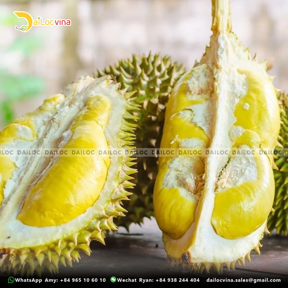 FAMOUS TROPICAL ASIA FRUIT PREMIUM HIGH WHOLE MUSANG KING DURIAN SWEET AND THICK FLAVOR