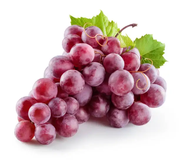 Organic Purple Sweet Grapes Seedless Freshly Picked Price Competitive Wholesale Sale