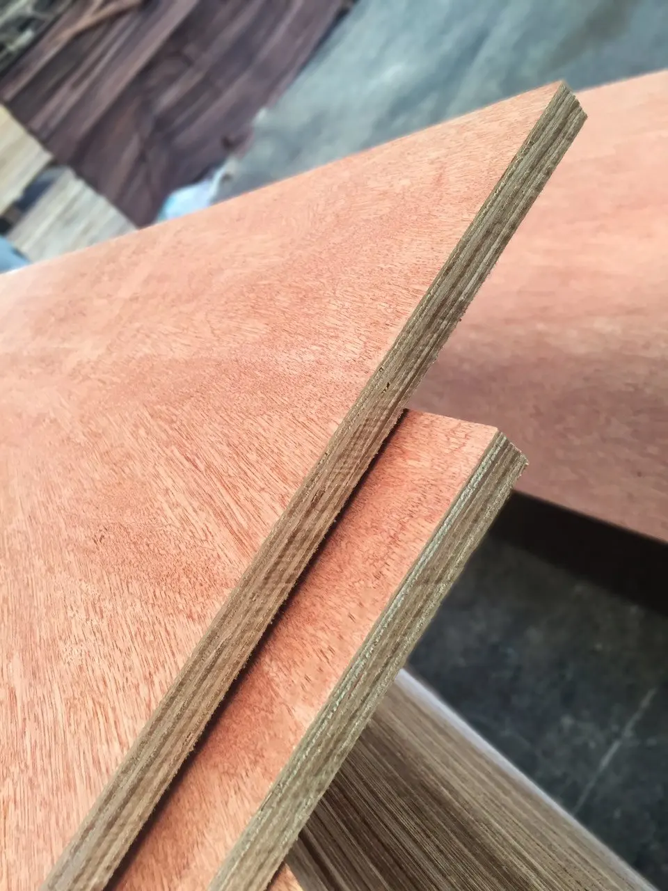 Super High Quality Commercial Plywood Bintangor Plywood For Furniture Origin Vietnam