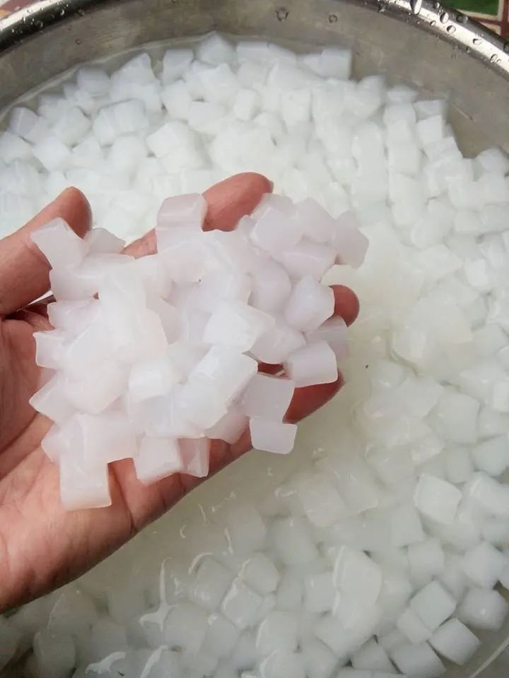 Лучшие продажи в 2024 кокосовое желе пудинг напиток/NATA DE COCO из Вьетнама по лучшей цене и вкусно.
