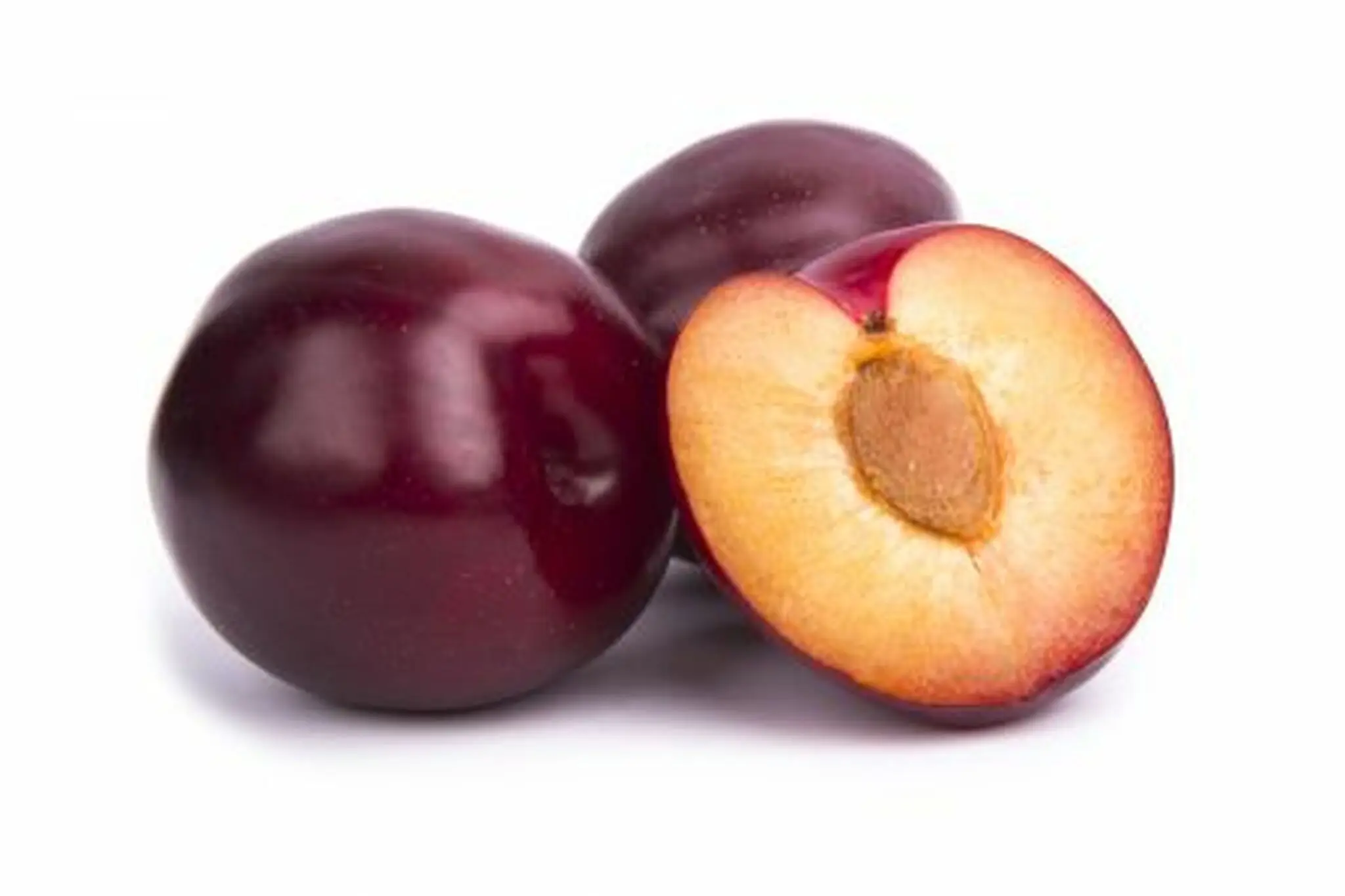 PREMIUM QUALITY 100% FRESH NATURAL PLUM RED SHELL PRODUCED IN VIETNAM COMPETITIVE PRICE