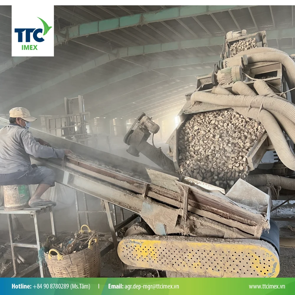 LOW PRICE TAPIOCA CHIPS CASSAVA CHIPS FOR ANIMAL FEED PURPOSE HIGH STARCH