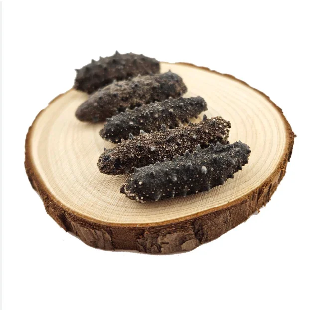 In Stock Dried Sea Cucumber Seafood Bulk Ready for Export Buy Now Wholesale Supplier Cheap Price