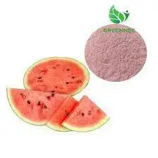 Customized Watermelon Rind Extract Powder 100% Fresh & Pure Spray Dried  Watermelon Juice Powder Manufacturer In India