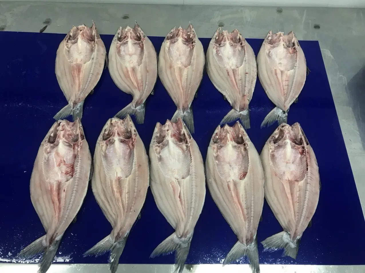 Bulk Supplier Package Customize Quality Cheap Price Shape with Skin frozen fish fillet Pangasius from Vietnam