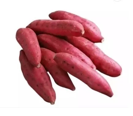 100% свежий фиолетовый сладкий картофель, конкурентоспособная цена, 100% свежий фиолетовый сладкий картофель, конкурентоспособная цена