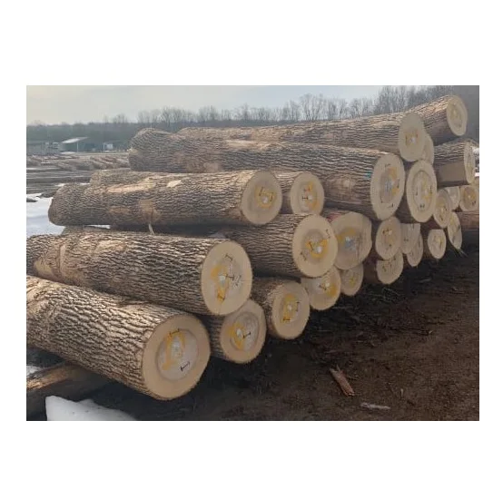 Ash Logs | Hardwood Ash Wood Round Logs For Sale Bulk