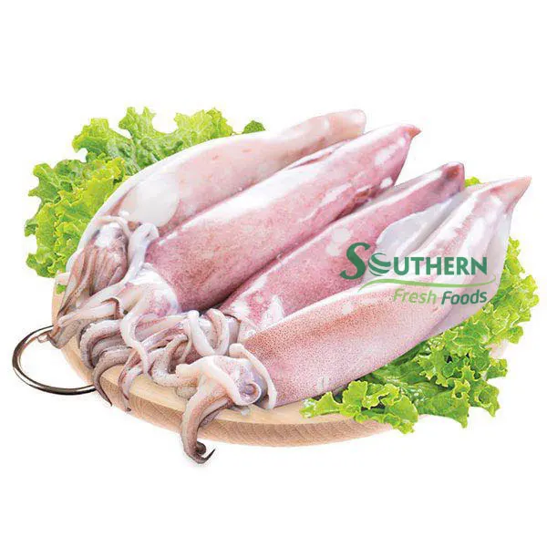 Методы хранения крючков, аккредитив, условия оплаты, замороженный лолиговый кальмар, замороженный дикий кальмар, выломан из Вьетнама