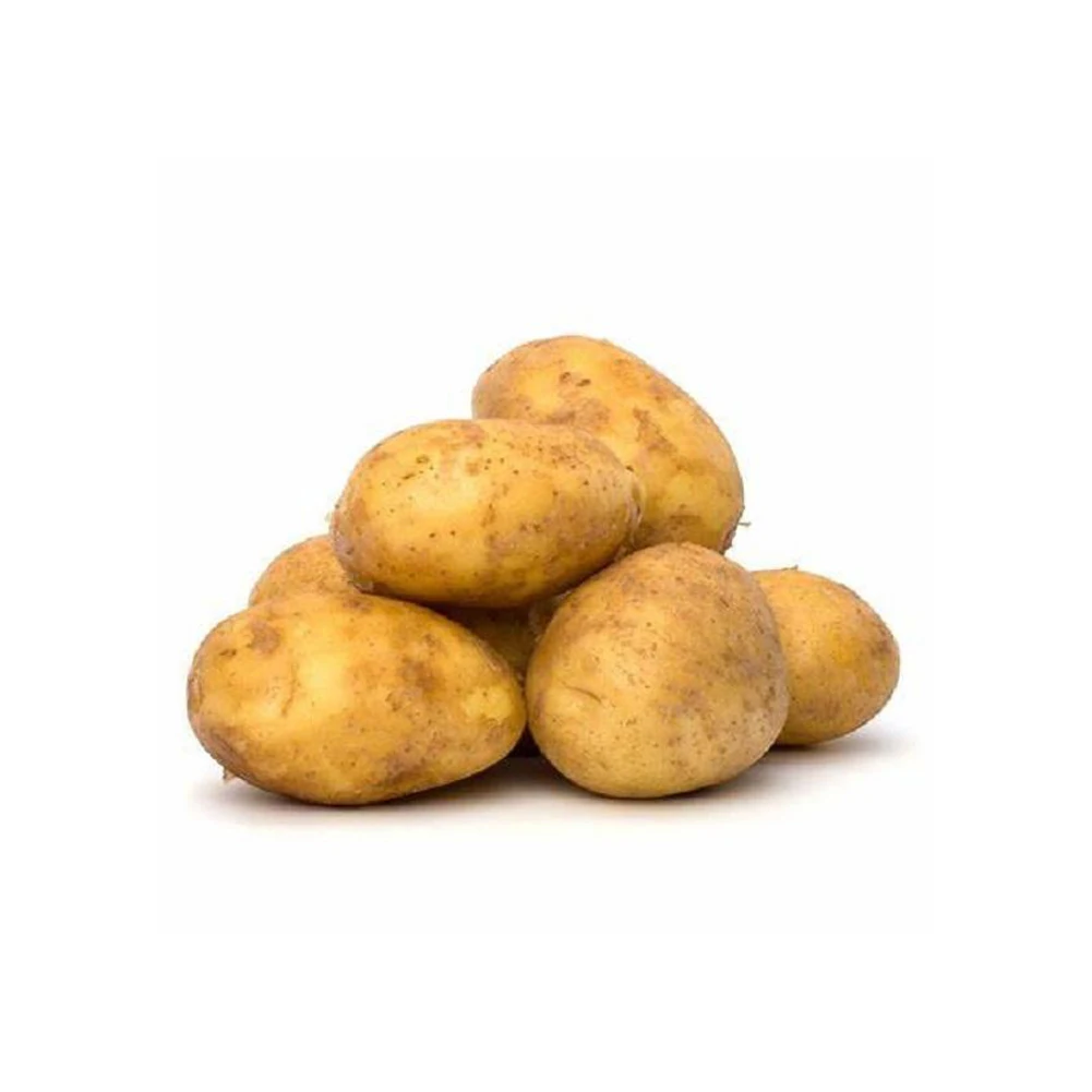 New Harvest Fresh Potatoes from Europe Direct Exporters