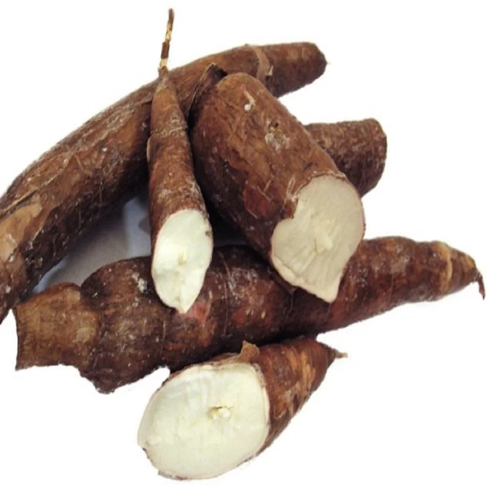CHEAP PRICE CASSAVA CHIPS FOR ALCOHOL AND FEEDING