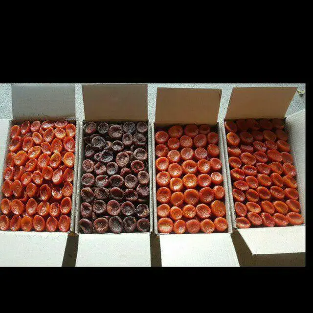 Wholesale Natural Organic Top Grade Pitted Dried Apricot Balonchik Bulk Pitted Apricots Dried Fruit From Uzbekistan
