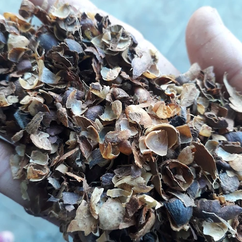 High Quality Vietnam coffee husk with the best price