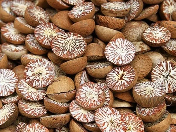Премиум-качество BETEL NUT SUPARI вьетнамский