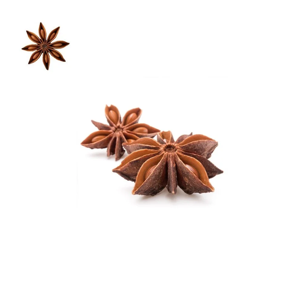 Vietnam Manufacturer for spices to export  STAR ANISE / STAR ANISED Turmeric chicken seasoning powder turmeric powder nutmeg