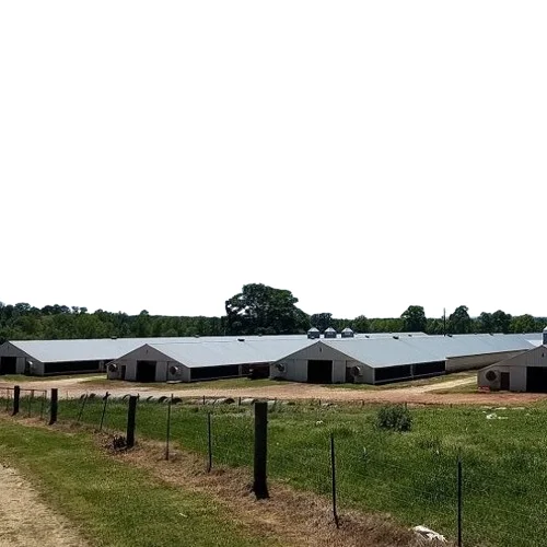 Prefab low cost customizable chicken farm