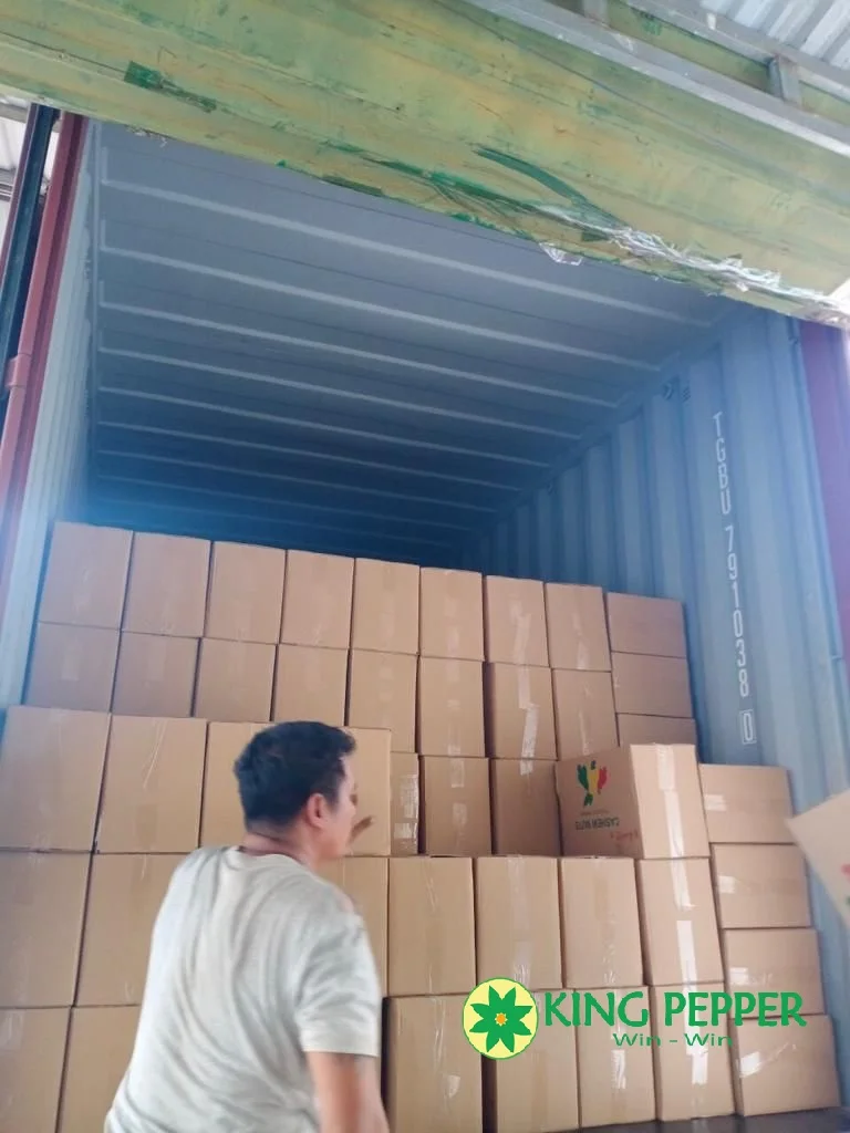 VIETNAM CASHEW NUTS BEST PRICE GOOD QUALITY from HP Group 0084 86 998 1238 (Whatsapp)