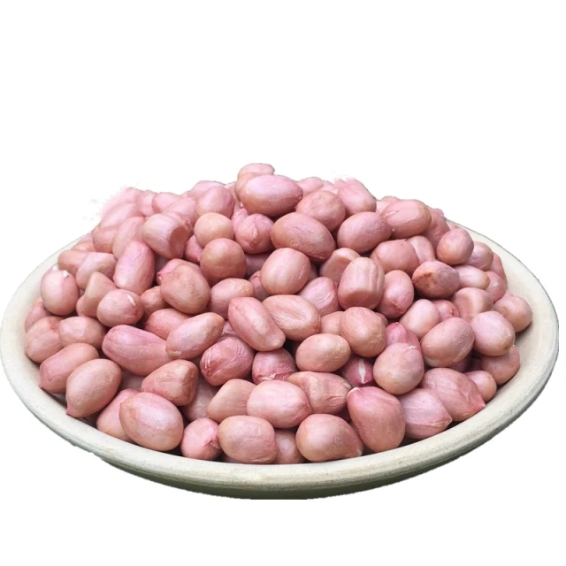 Buy High-quality PEANUT at cheap price