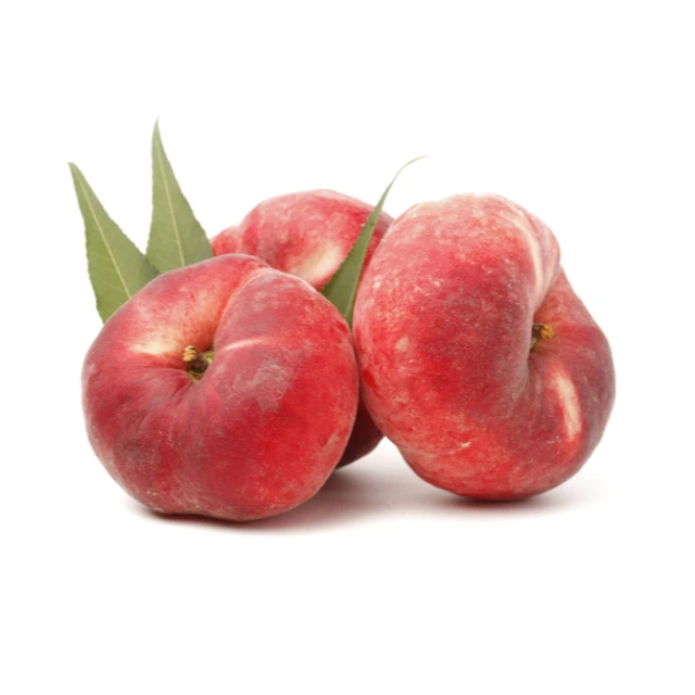 Organic Natural Peach Fresh Fruit For High Premium Quality Fresh Flat Peaches o wholesale price