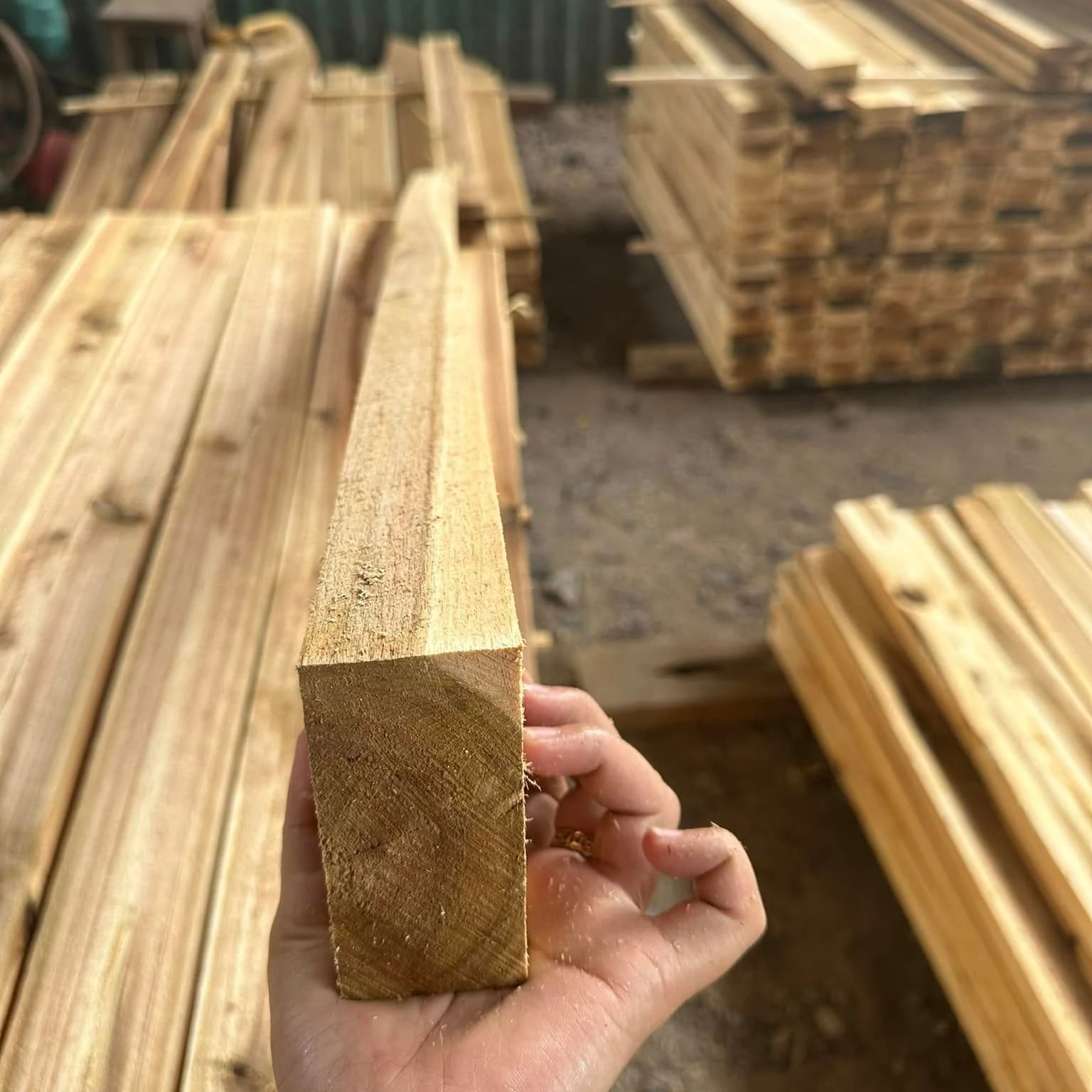 Acacia lumber for industry customized size with good price from Vietnam/Wooden acacia sawn timber cheap price for export