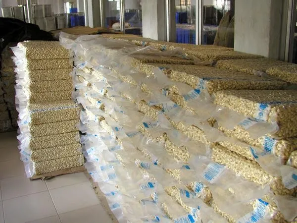 [Free Sample] Vietnam Raw Cashew Nut Kernel Fresh Roasted and Dried for Food WW320 & WW240 & WW450 Grade Processed - ANNA DO