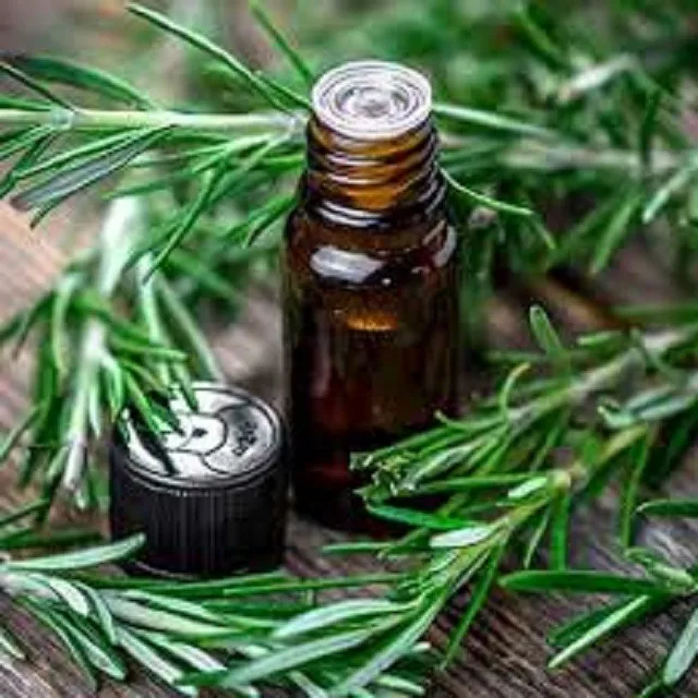 High Quality Rosemary Oil Manufacturer from India