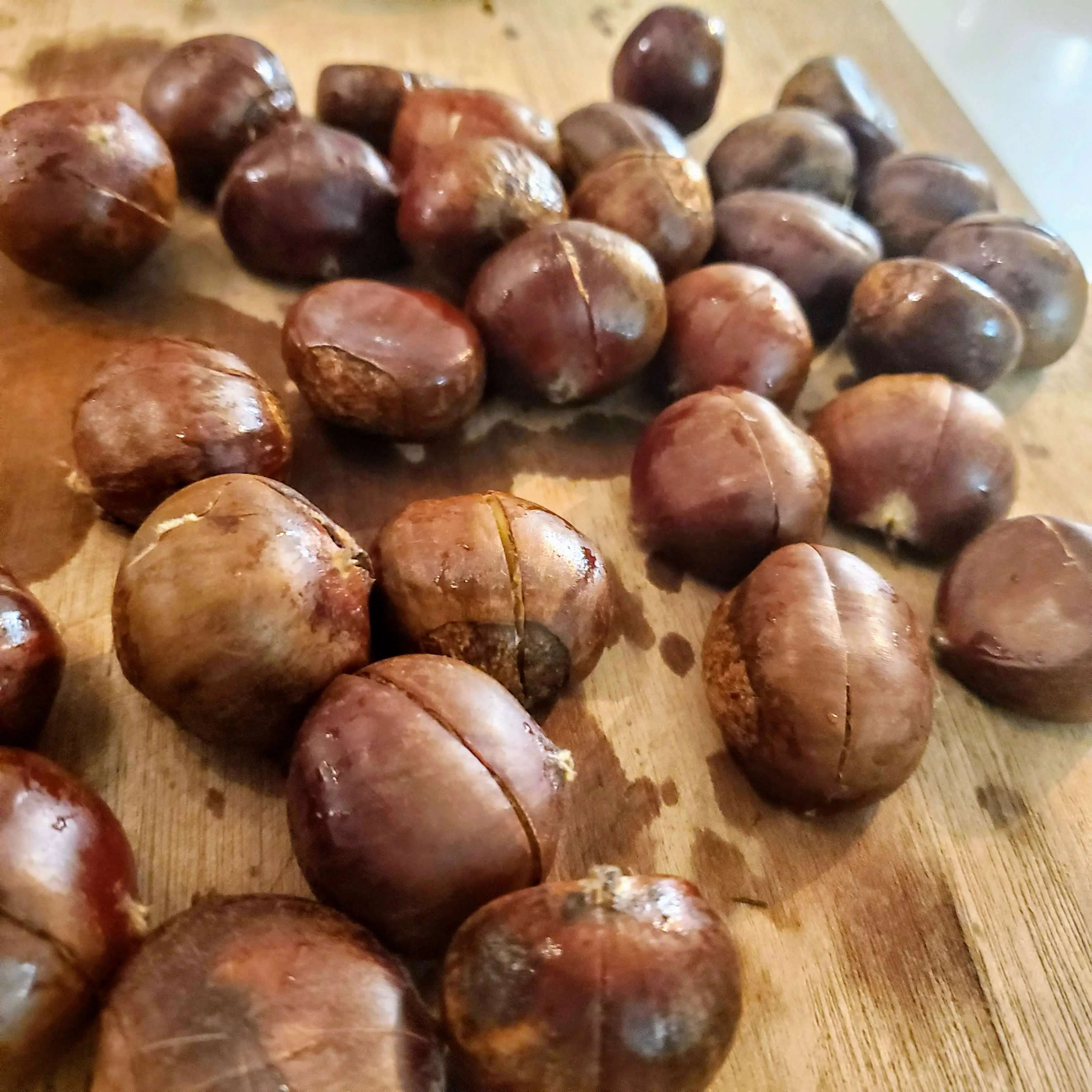 Chestnut for sale at wholesale price