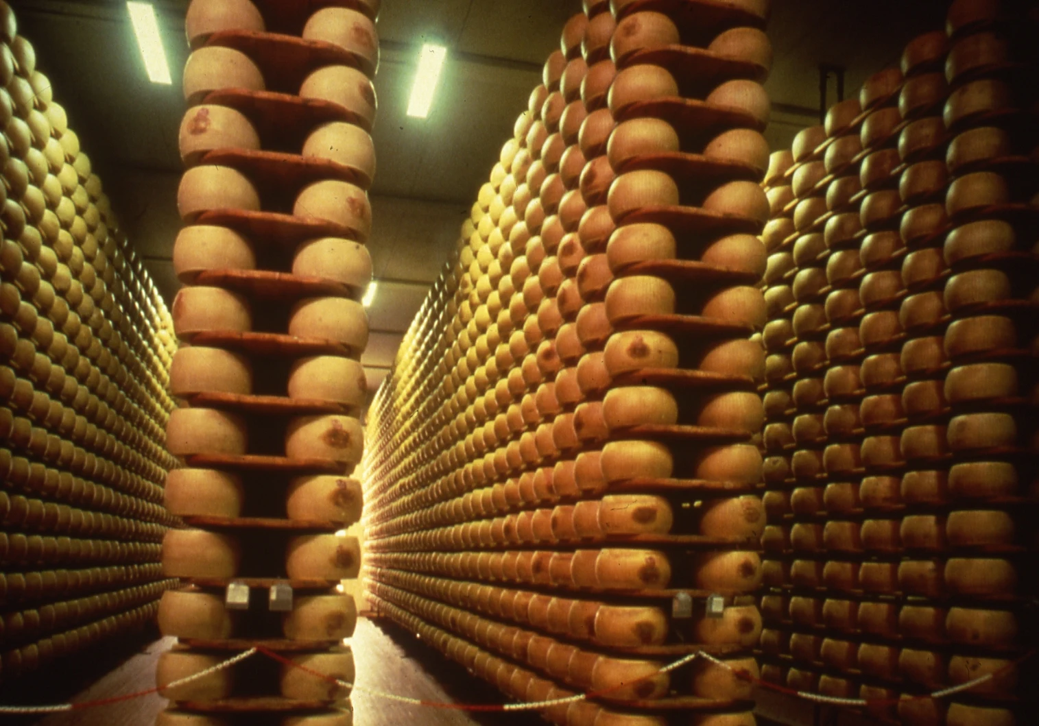 Best quality made in Italy 30 months slow maturation whole cheese 38 Kg. Parmigiano Reggiano hard italian cheese