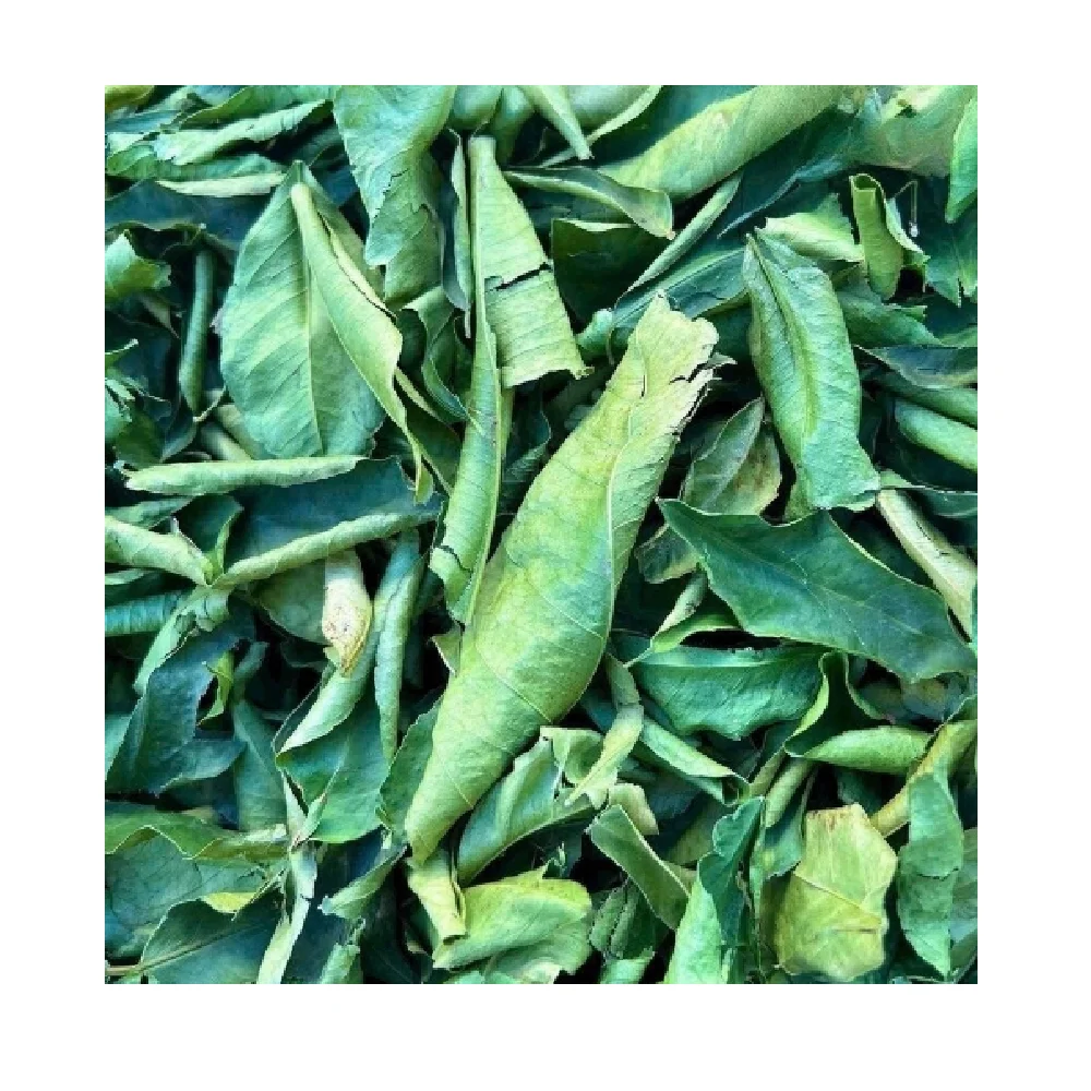 Многоразовый метод сублимационной сушки листьев извести оптом