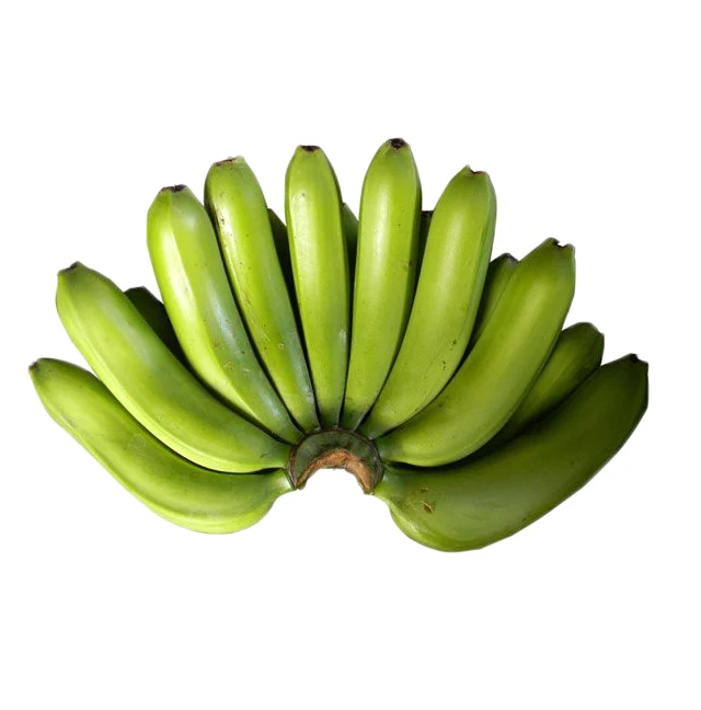 FRESH CAVENDISH BANANA BEST PRICE FOR SALE - VIETNAM MEKONG DELTA ORIGIN