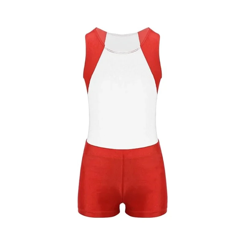 Reliable Quality Breathablegym suit sublimated gymnastics leotard for training of stage performance for men