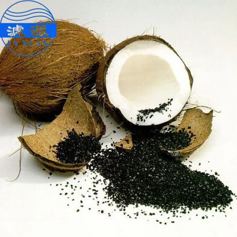 Coconut shells for Water Treatment Air Purification and Industrial Use  Supply Available High Quality Activated Carbon