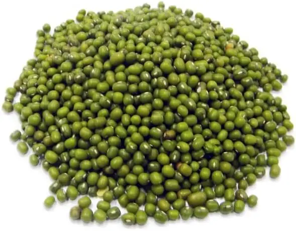 High Quality Cheap Green Mung Beans for Sale