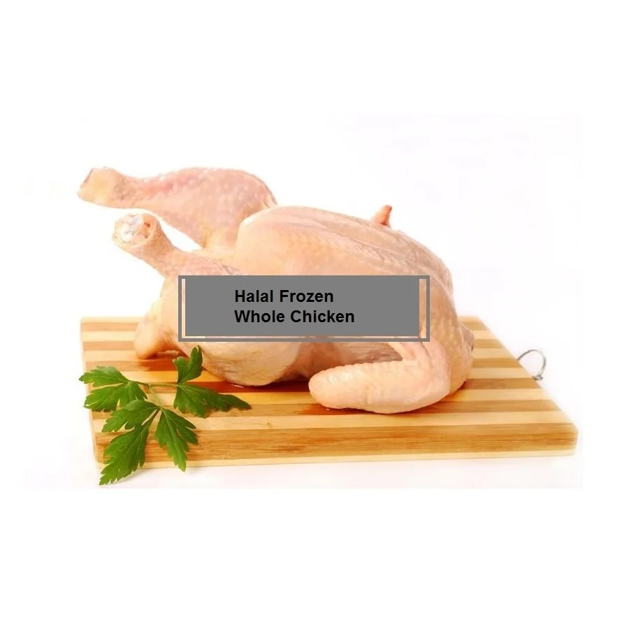 Lowest Price Frozen Whole Chicken Premium Quality Bulk Quantity For Exports From Europe