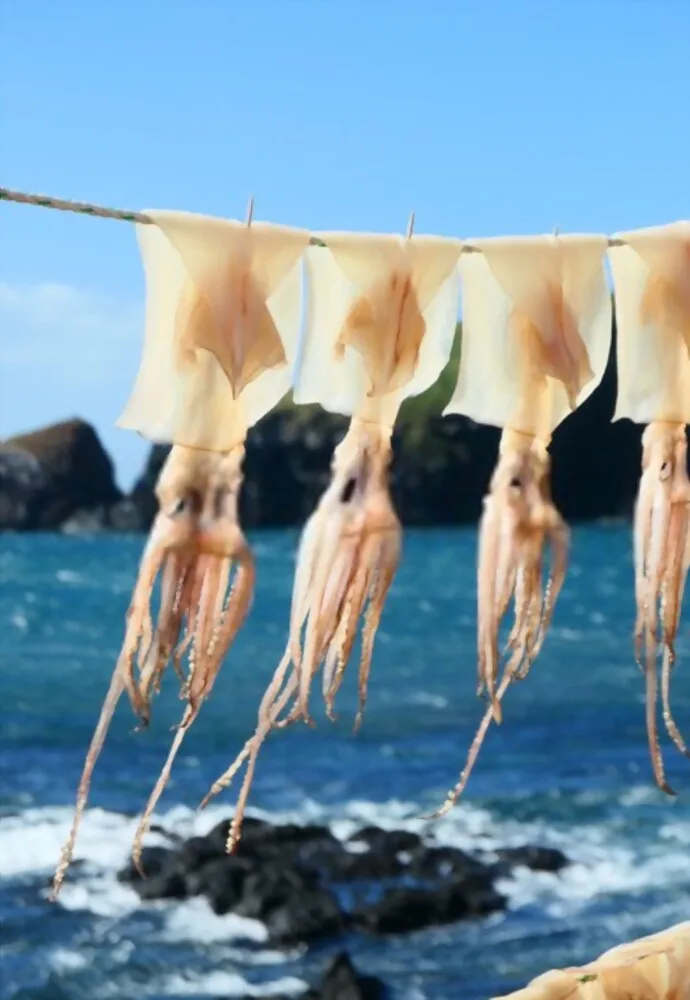 Top Quality dried squid dried seafood whole Calamari Ingredients From Vietnam Factory