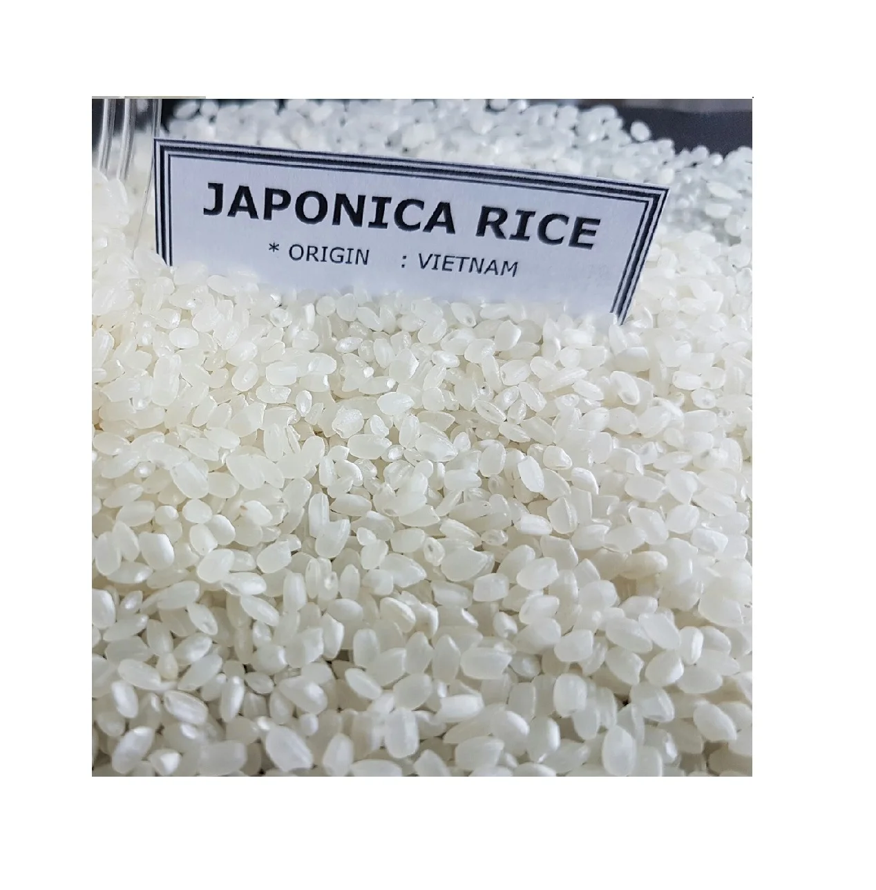 Newest Crop Japonica rice 5% broken (round grain rice ), Vietnam origin rice with good quality, reasonable price