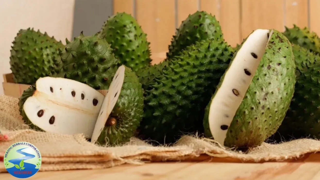 100% Organic natural soursop extract powder origin Vietnam brand Mekong Herbals