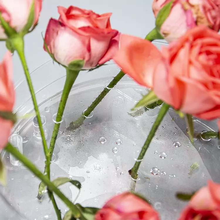 Home Decor Round Acrylic Vase Customized Wedding Flower Vase Acrylic Modern Design Acrylic Flower Box