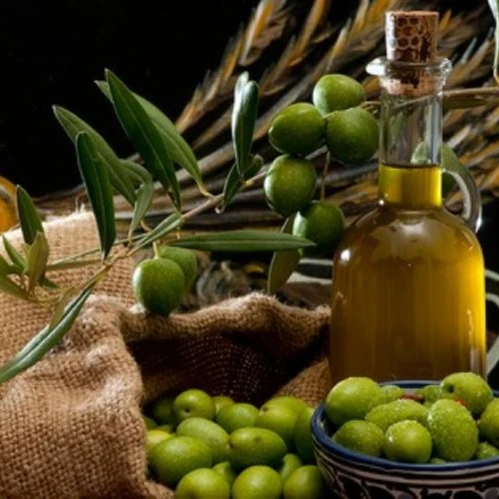 Premium Quality Pure And Organic Olive Oil Available In Best Price