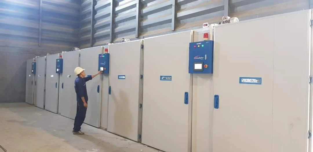 500 Eggs Hatching Machine Incubator Egg Tray New Vietnamese Manufacturer Best Quality Egg Incubator For Sale