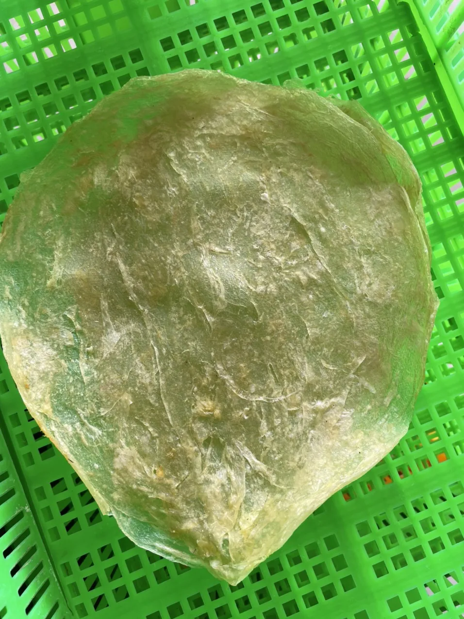DRIED FISH MAW, NATURAL GOLDEN COLOR 100% SUN DRIED HIGH QUALITY FISH MAW FROM ABIMEX VIETNAM