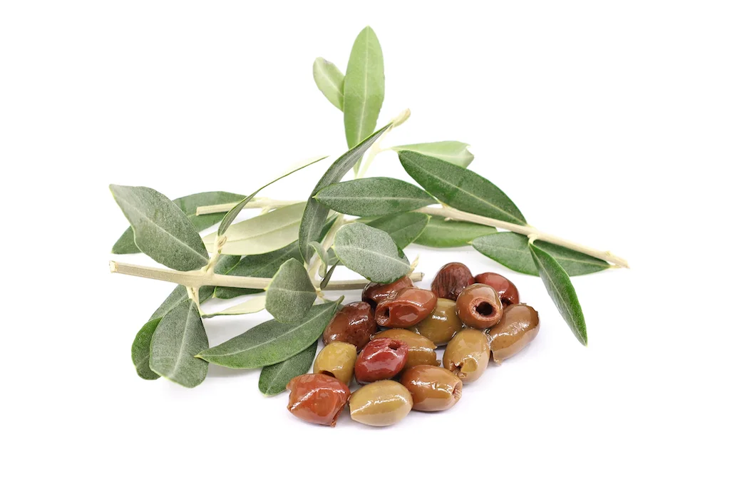 PITTED SPICY TAGGIASCA OLIVES DNA Certified Olives in extra Virgin Olive Oil With RED CHILLI As Antipasto or Ingredient 180 g