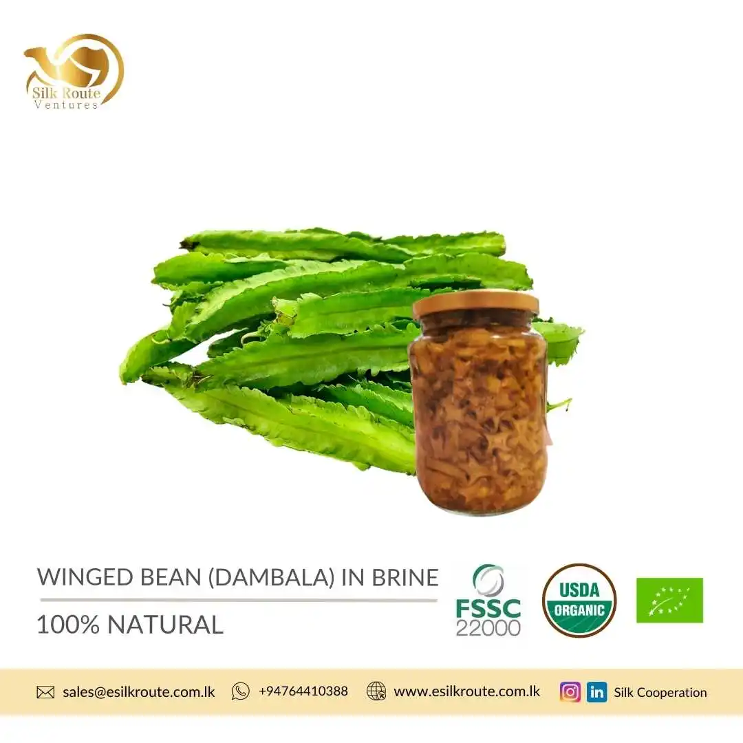 Rich in Vitamin and Protein 100% Pure Natural Organic Canned Winged Bean (Dambala) in Brine at Wholesale Price
