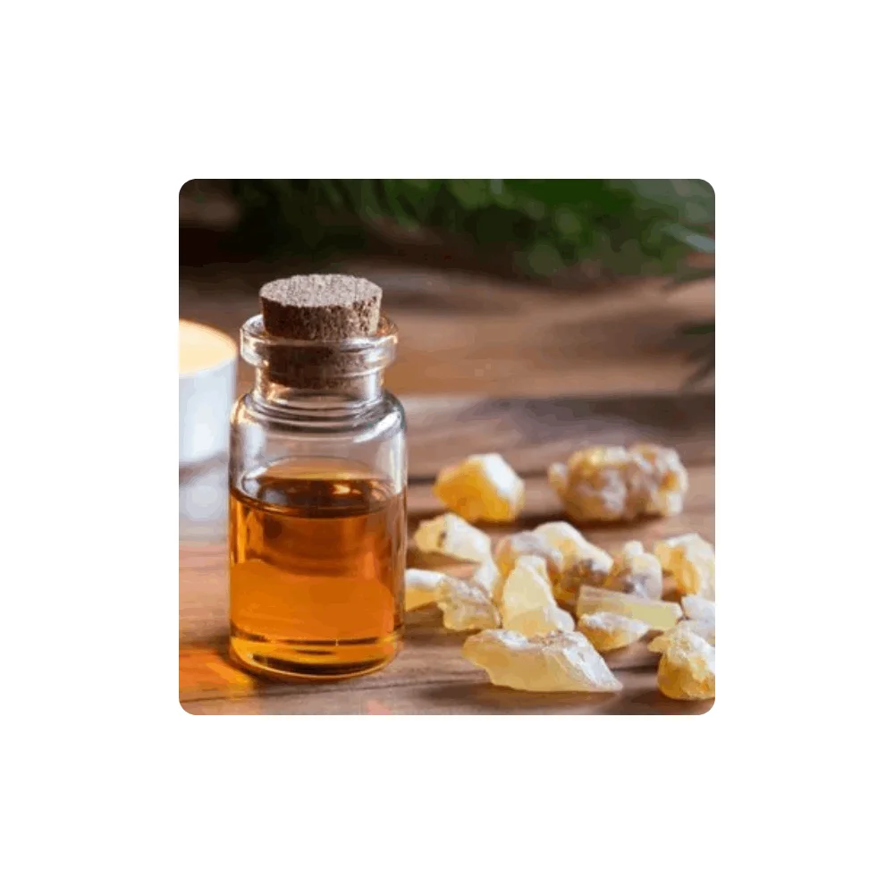 Buy Frankincense Essential Oil Wholesale Price Frankincense Oil Reliable Manufacturer  From India