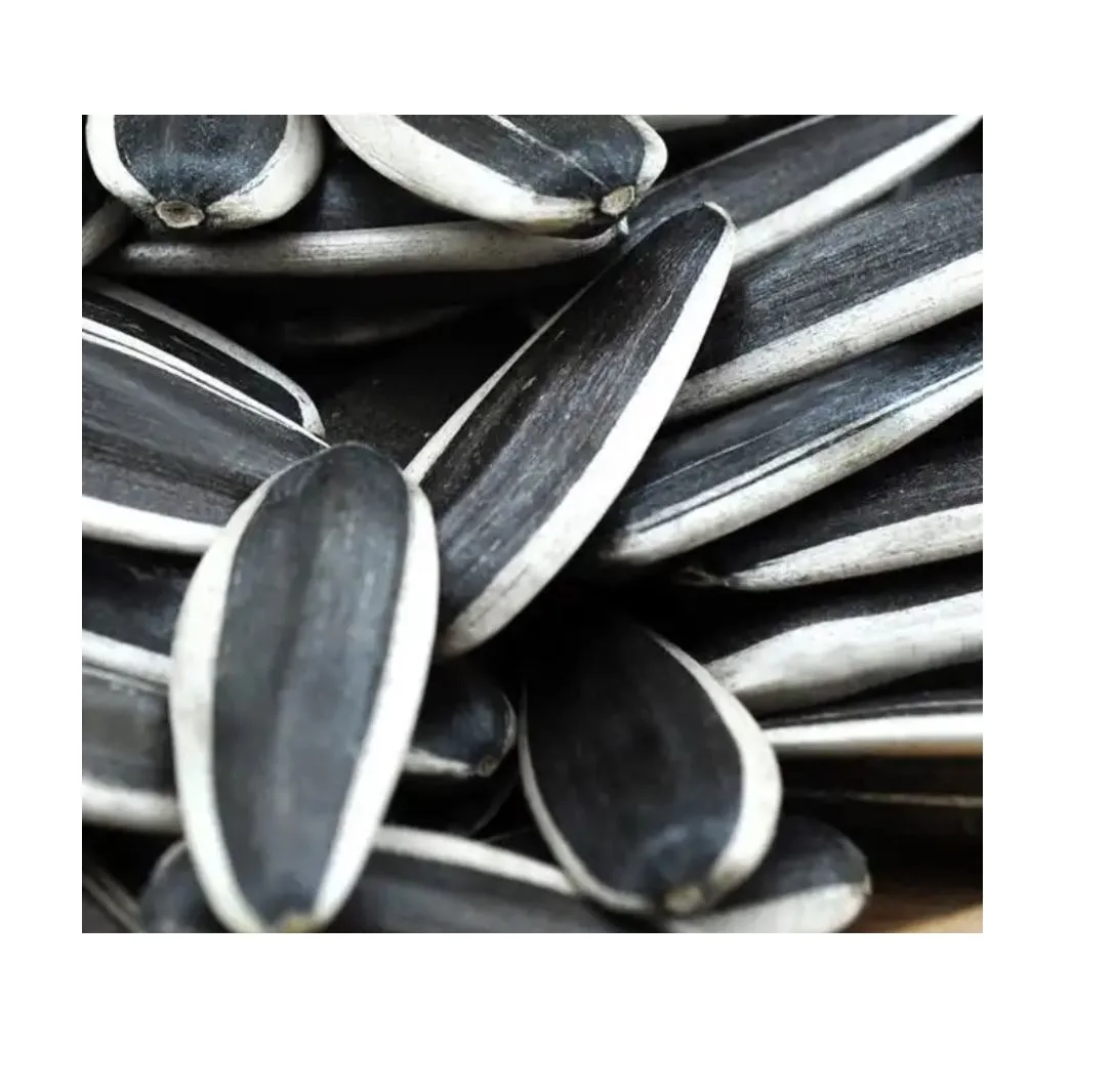 black white raw hybrid 5009 363 601 roasted sunflower seed seeds market ton price for sale