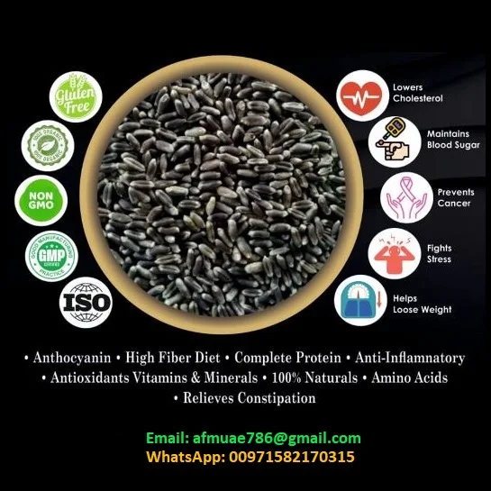 Black Wheat Grain, Black Wheat, Black Wheat Seeds, Gluten Free Wheat Grains,