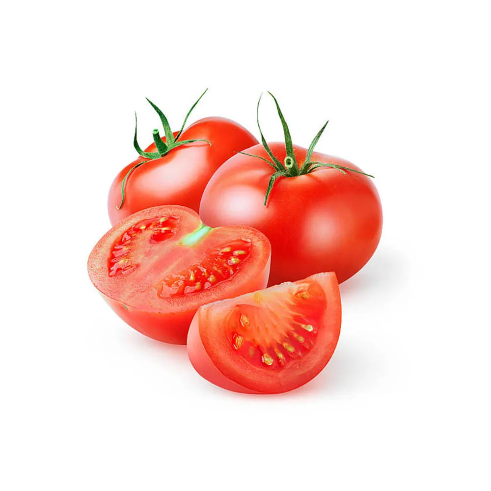 Fresh Tomato Rita Crop for Sale 2022 Fresh Tomato Green OEM Style Organic Weight Origin Type Variety Product ISO Place Model