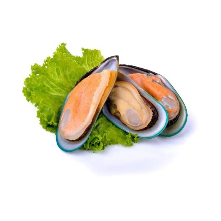 Hot Sale Seafood Importers Mussels In Shellfish Import Export Frozen Seafood High Quality Frozen Half Shell Mussel