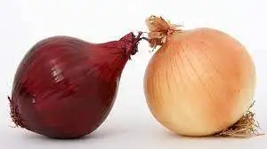 Wholesale Fresh Red Onion/Yellow Onion.
