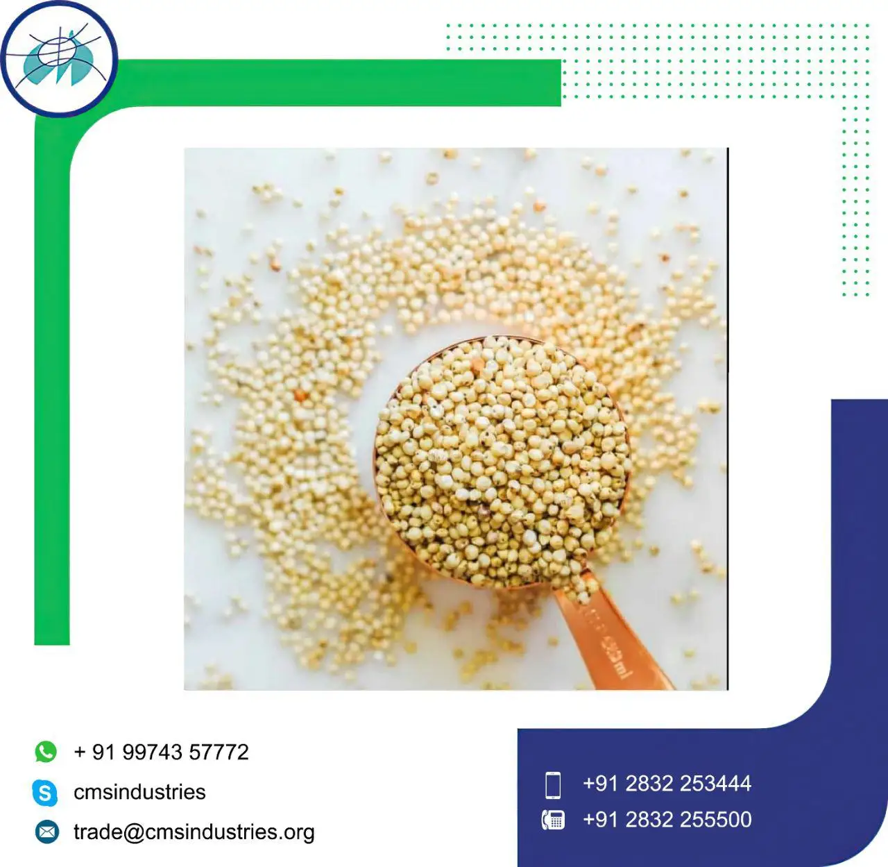 Good Supplier Lower Price Yellow or CH5 Sorghum